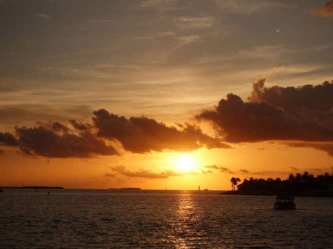 MIA_2023-08-12 19-52-55_RX_06030